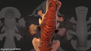 Znanstvenici otkrili kako zaista izgledaju izvanzemaljci