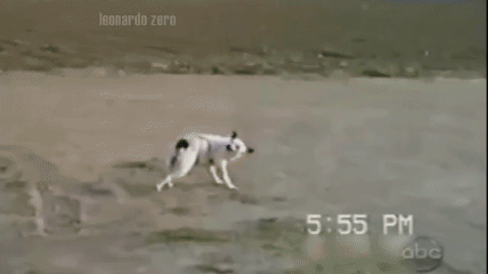 Kad te zasvrbi, mora&scaron; biti sam svoj majstor