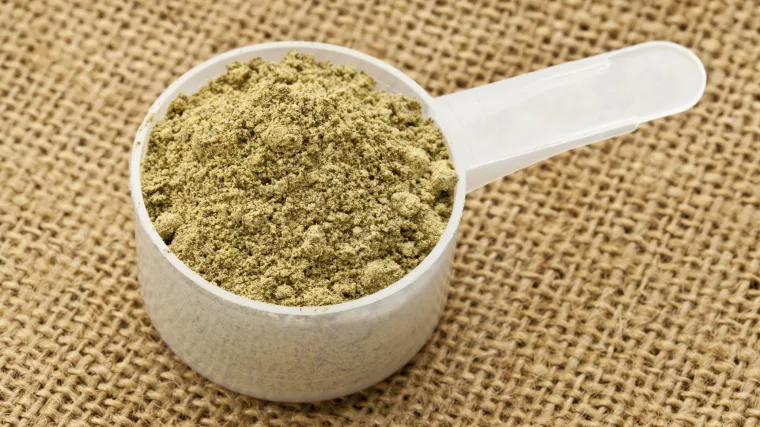 Odličan izvor aminokiselina: protein konoplje radi u va&scaron;u korist