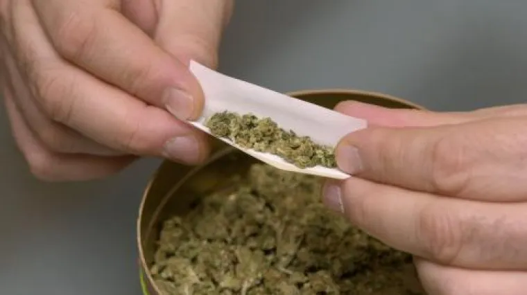 Argentina legalizirala konoplju u medicinske svrhe: kako po ovom pitanju stvari stoje u Hrvatskoj?