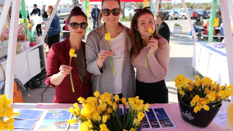 Znanstvenici izradili umjetni ženski reproduktivni trakt: naprava bi mogla pomoći u razumijevanju bolesti tih organa