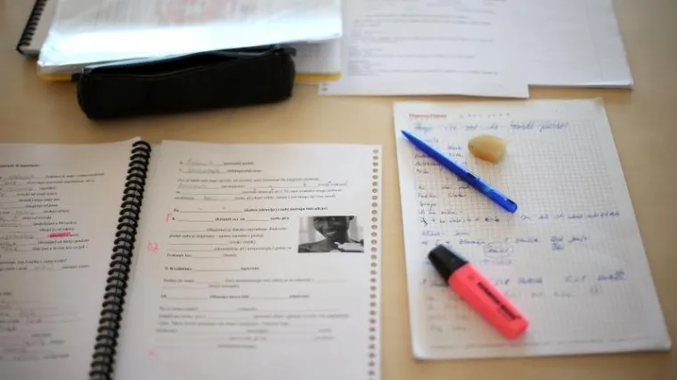 'U BiH, Crnoj Gori, Hrvatskoj i Srbiji govori se zajednički jezik policentričnog tipa'