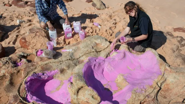 Paleontolozi pronašli najveći otisak stopala dinosaura ikad otkriven