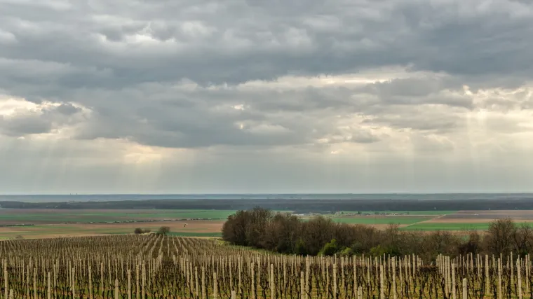 Napokon ki&scaron;a! Nakon vi&scaron;e od tri tjedna bez prave ki&scaron;e, stižu pljuskovi i osvježenje