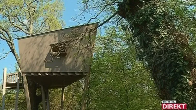 Novost na Jadranu: ljetovanje u kućici na drvetu - jedna noć 1.000 kuna