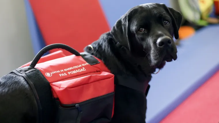 ​Najbolji prijatelji kad je najteže: malenim pacijentima u Klaićevu stižu dva terapijska psa