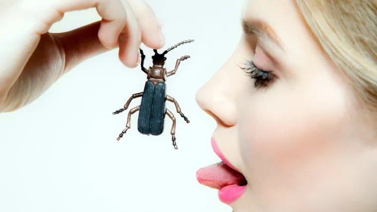 Kukci na stolu: dobrodo&scaron;ao obrok i rje&scaron;enje za milijune gladnih u svijetu