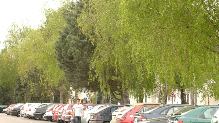 Za vikend toplo, ki&scaron;a opet u utorak i za uskrsne praznike: ali zasad se pravite da ni&scaron;ta nisam rekla