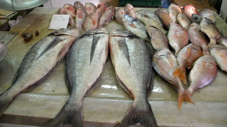 'Svježe s Kvatrića': iz utrobe kupljene ribe počeli izlaziti crvi