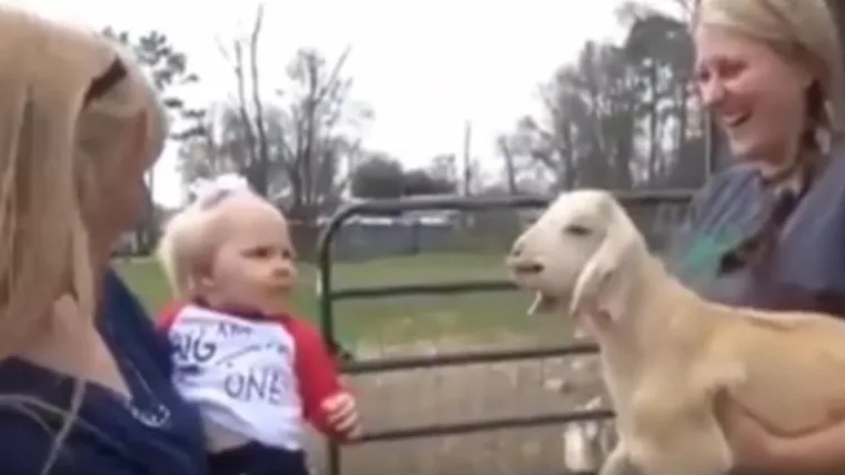 'Razgovor' bebe i koze: one su na&scaron;le zajednički jezik, a mi smo plakali od smijeha