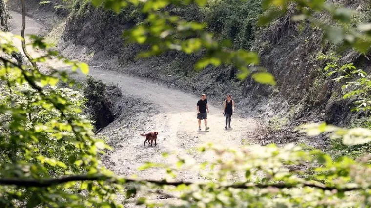 Zdravi dočekajte ljeto: mi&scaron;ja groznica i kako se za&scaron;tititi od zaraze