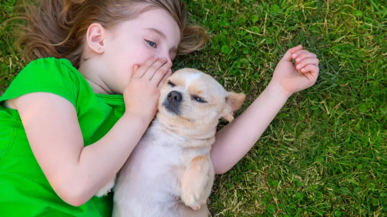 Često pričate sa svojim psom ili mačkom? Evo &scaron;to znanstvenici kažu o vama