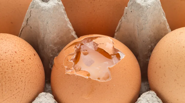 Hrvati će ovih dana pojesti 30 milijuna jaja: provjerili smo koja su najbolja