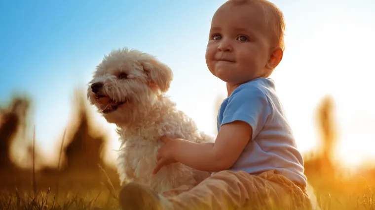 Žene koje imaju pse, imaju i zdraviju djecu - kažu znanstvenici