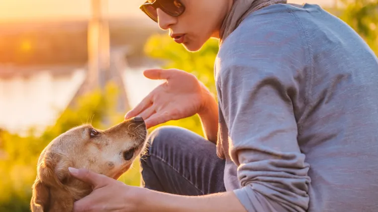 Ljudi koji razgovaraju sa svojim ljubimcima su jako inteligentni, a ne blesavi, tvrde znanstvenici