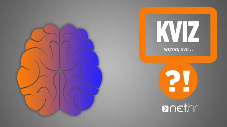 Nijanse otkrivaju koja polutka dominira i &scaron;to to govori o vama