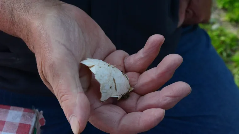 Lex Klepetan: dugoi&scaron;čekivani rodan obiteljski nasilnik i '&scaron;to Markić kaže na razbijena jaja'?