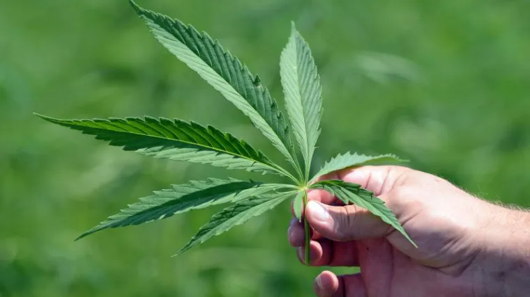 Facebook pun statusa '420': evo &scaron;to je iza misterioznog koda