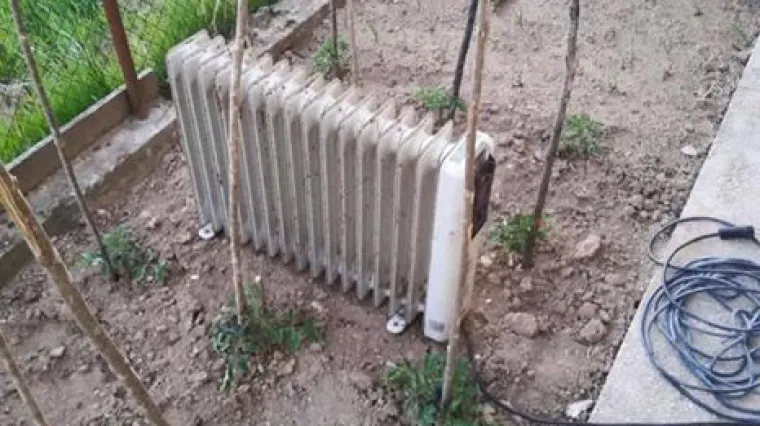 Borba protiv travanjskog mraza: smislili kako spasiti 'pomidore' u Dalmaciji