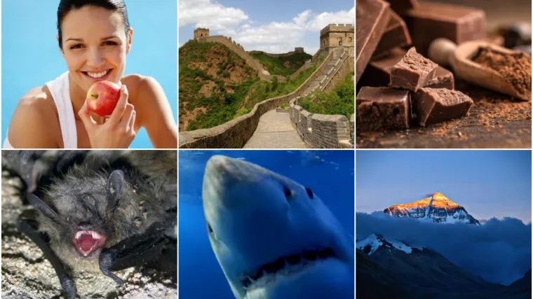 &nbsp;Godinama su vas uvjeravali u potpune gluposti