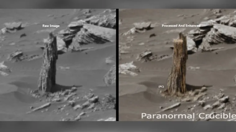 Je li ovo konačan dokaz da na Marsu ima života?