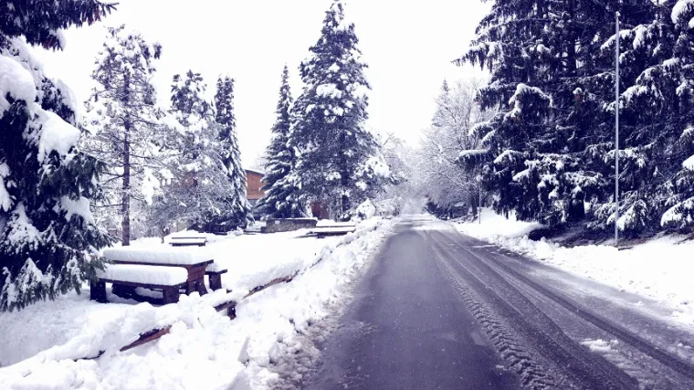 Ova slika jača koncentraciju, smanjuje stres, pomaže kod odluka i kontrole osjećaja...