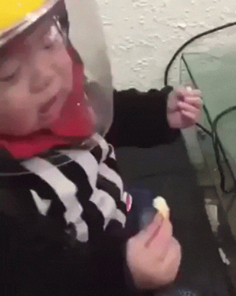 Najbolji način za mr&scaron;avljenje