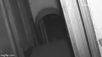 'Nakon 15 godina 'lova' konačno smo uspjeli snimiti duha'