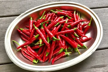 Kajenska paprika: karakteristike ljute kajenske paprike