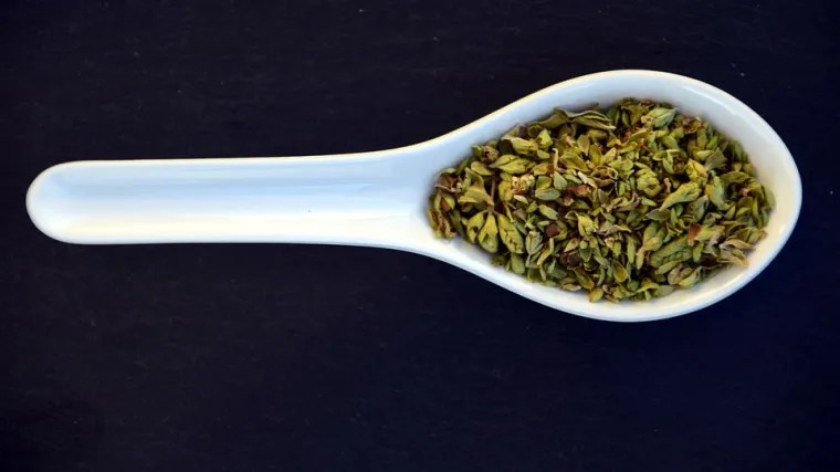 Kretski origano - biljka kretski origano i sve što trebate znati o njoj