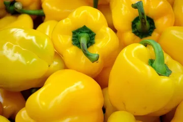Sadnja paprike – saznajte kako se sadi paprika