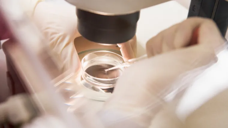 Laboratorijski mi&scaron;evi uspje&scaron;no su izliječeni, ali metoda je vrlo upitna