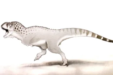 'Ovo je poput dobitka na lutriji!'