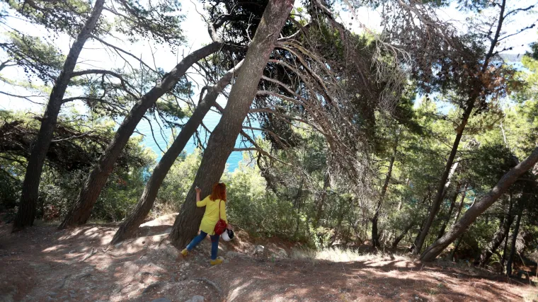 Podvig splitskih vatrogasaca: izvukli ženu iz 30-metarske provalije na Marjanu