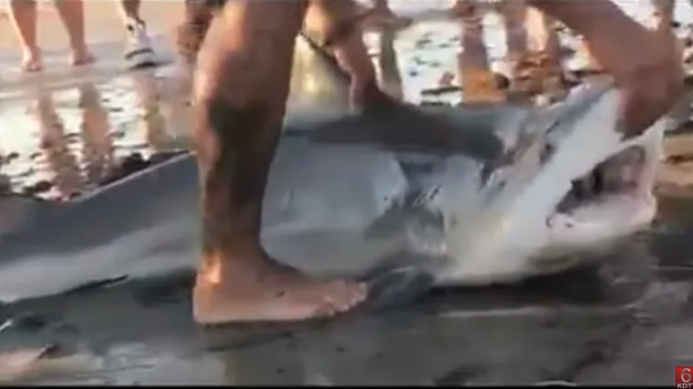 'Van iz vode, van iz vode!'