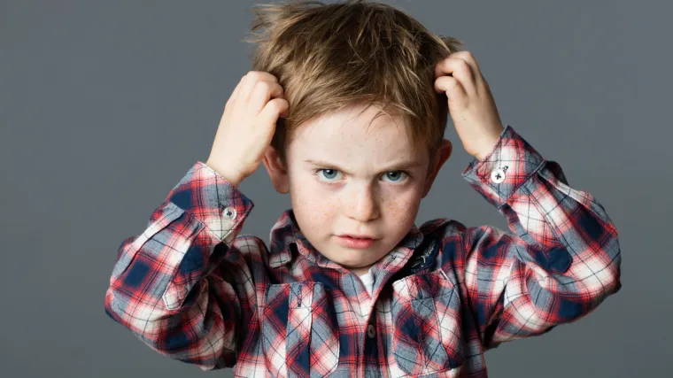 Licetec V-Comb če&scaron;alj: inovacija u borbi protiv u&scaron;i bez kemikalija i alergena