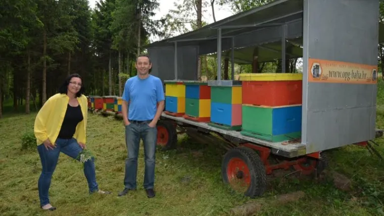 Otvoren prvi hrvatski hotel za pčele, i to s pet zvjezdica