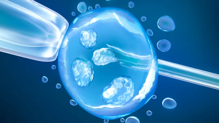 Inseminacija: tko je kandidat i kako izgleda postupak inseminacije?