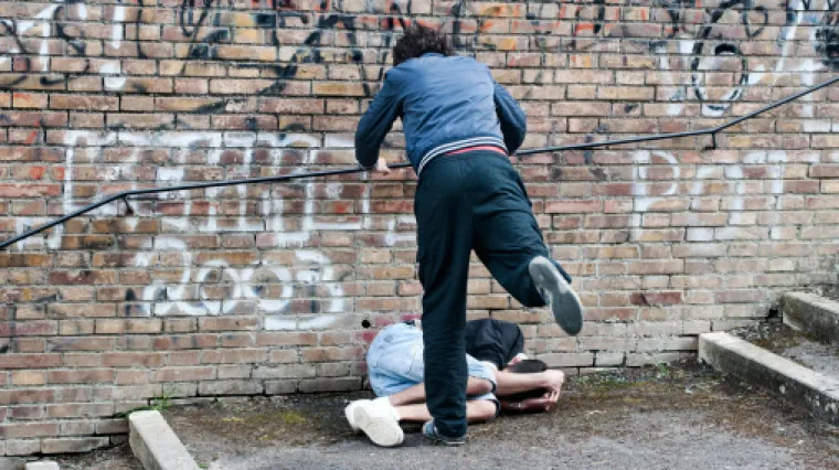 U Austriji uhićen 14-godi&scaron;njak iz BiH - tukao je učenike, reketario i predvodio bandu pljačka&scaron;a