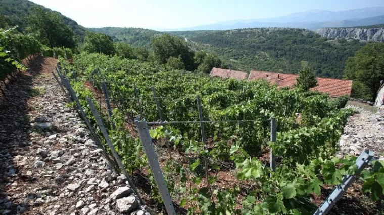 Ponos Imotske krajine zavr&scaron;io u stečaju: 'Država se opet dokazala kao lo&scaron; vlasnik'
