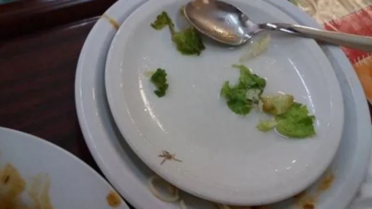 Student u ZG menzi na tanjuru ugledao jeziv prizor