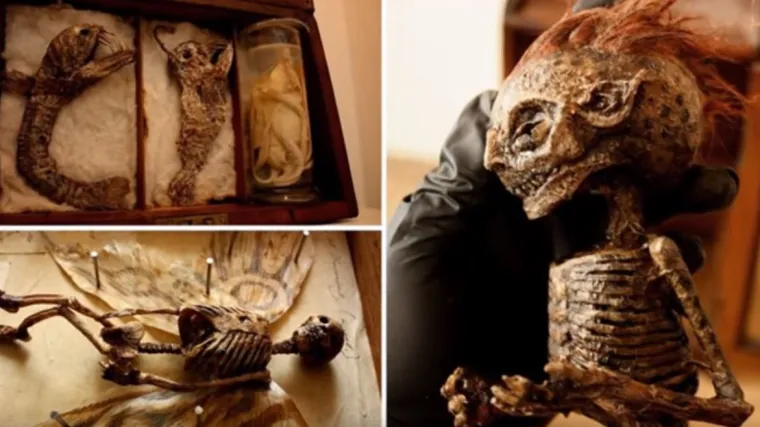 Prava istina o kolekciji jezivih stvorenja od koje se ledi krv