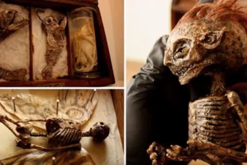 Prava istina o kolekciji jezivih stvorenja od koje se ledi krv