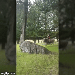 Mlada farmerica nemilosrdno ja&scaron;e - &scaron;to točno?!