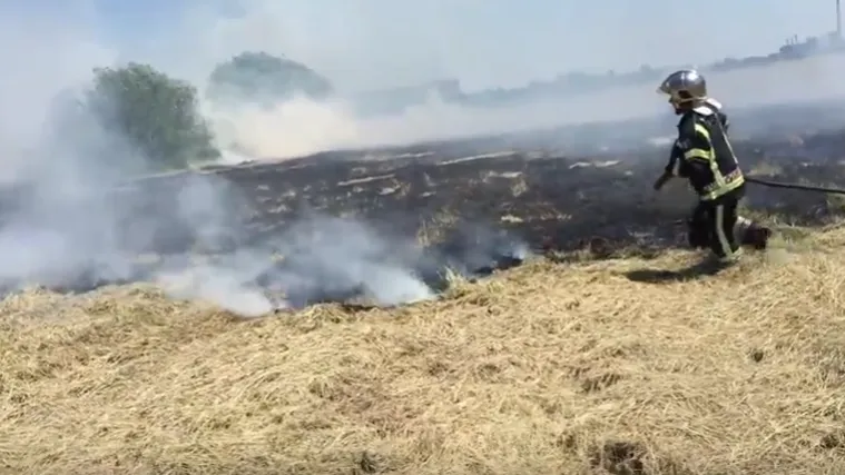 Maturant izazvao požar na južnoj strani Save: bacio signalnu raketu koja zapalila travu