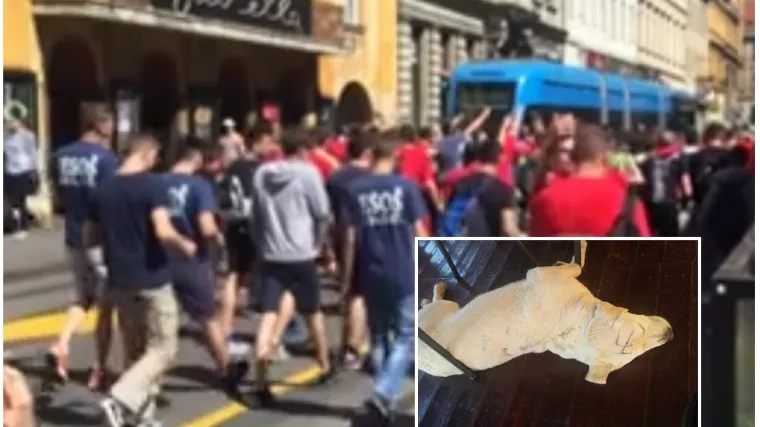 Maturanti u Đakovu labradora išarali kukastim križevima, u Zagrebu pozivali na klanje i urlali: 'Za dom spremni!'