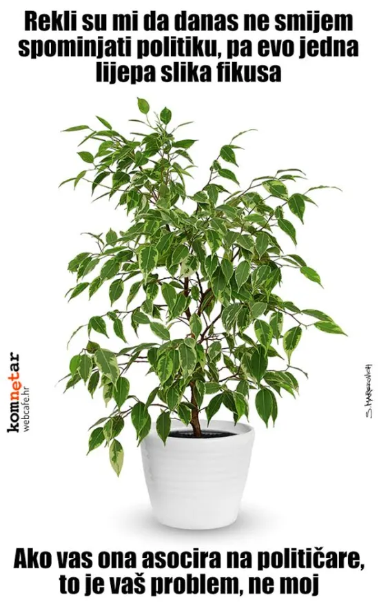 Svaka sličnost je slučajna