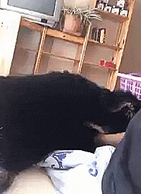 Kad vas netko probudi nakon jako zabavne noći