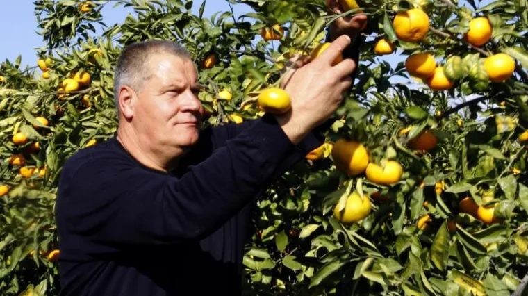 Jambo će podržati HDZ u Metkoviću: 'Most je sekta prevaranata i lažova'