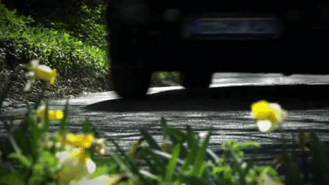 Poslušajte riku Hyundaija i30 N